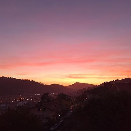 Il Glicine Cozy Appartamnent, Near Sestri Levante Between Cinque Terre E Portofino Casarza Ligure Εξωτερικό φωτογραφία