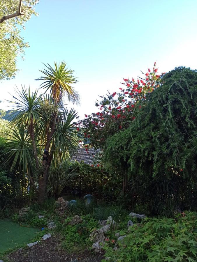 Il Glicine Cozy Appartamnent, Near Sestri Levante Between Cinque Terre E Portofino Casarza Ligure Εξωτερικό φωτογραφία