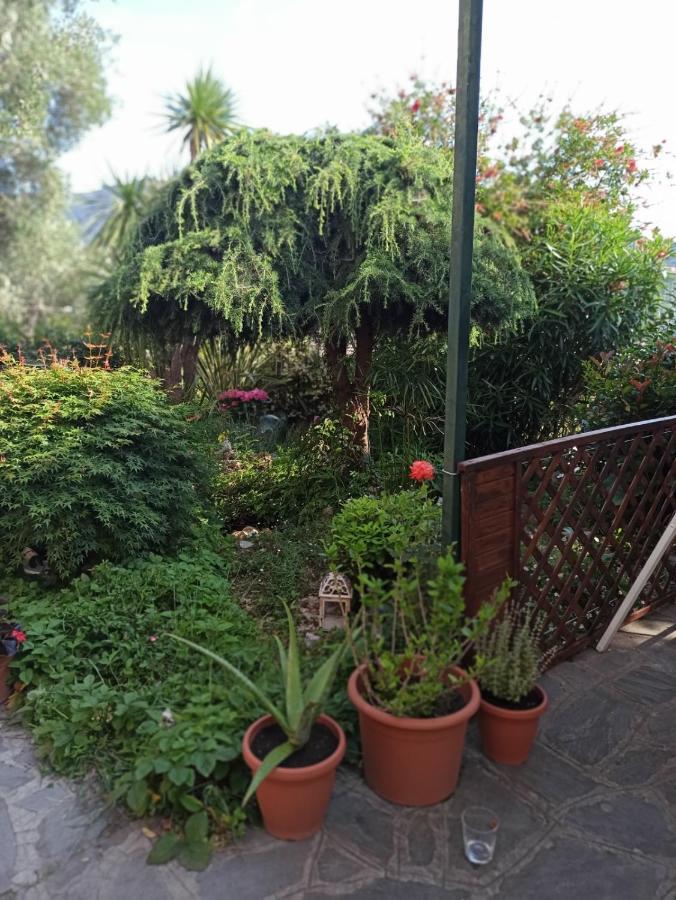 Il Glicine Cozy Appartamnent, Near Sestri Levante Between Cinque Terre E Portofino Casarza Ligure Εξωτερικό φωτογραφία