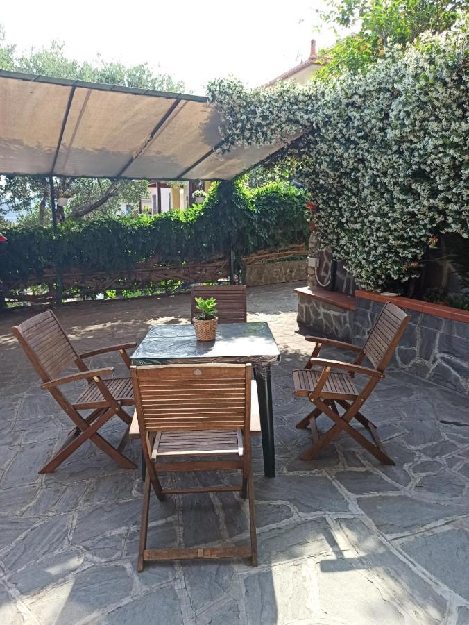 Il Glicine Cozy Appartamnent, Near Sestri Levante Between Cinque Terre E Portofino Casarza Ligure Εξωτερικό φωτογραφία