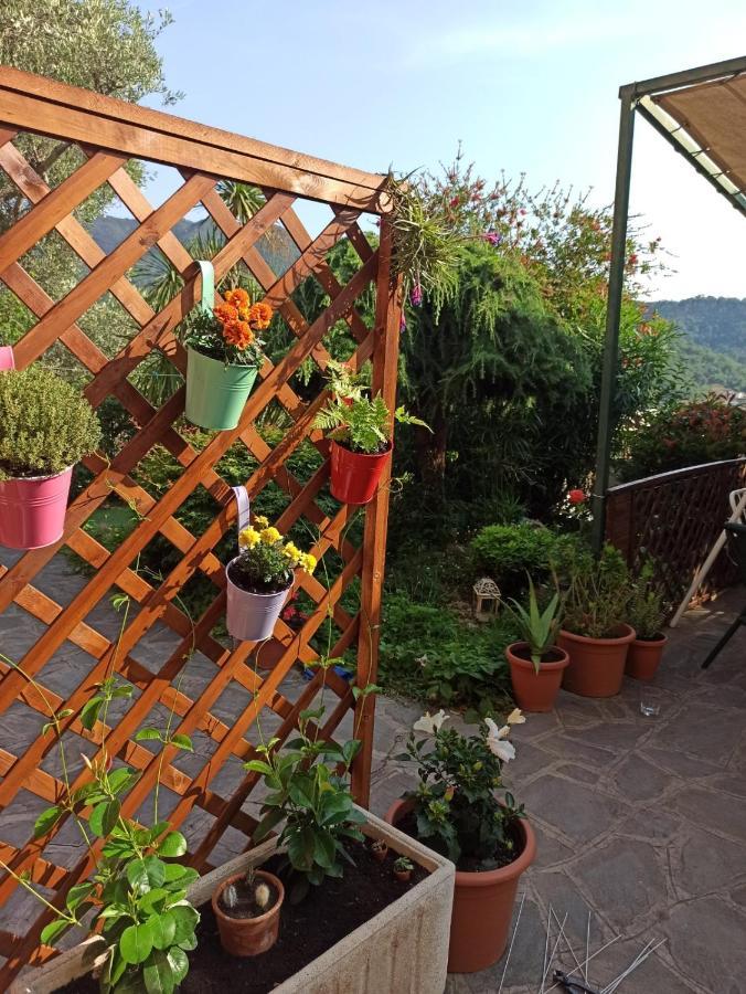 Il Glicine Cozy Appartamnent, Near Sestri Levante Between Cinque Terre E Portofino Casarza Ligure Εξωτερικό φωτογραφία
