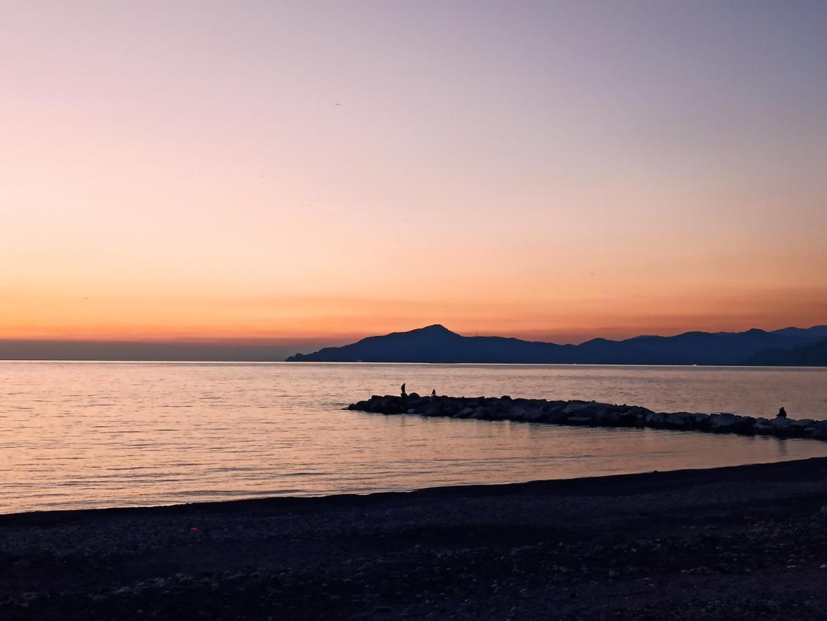 Il Glicine Cozy Appartamnent, Near Sestri Levante Between Cinque Terre E Portofino Casarza Ligure Εξωτερικό φωτογραφία