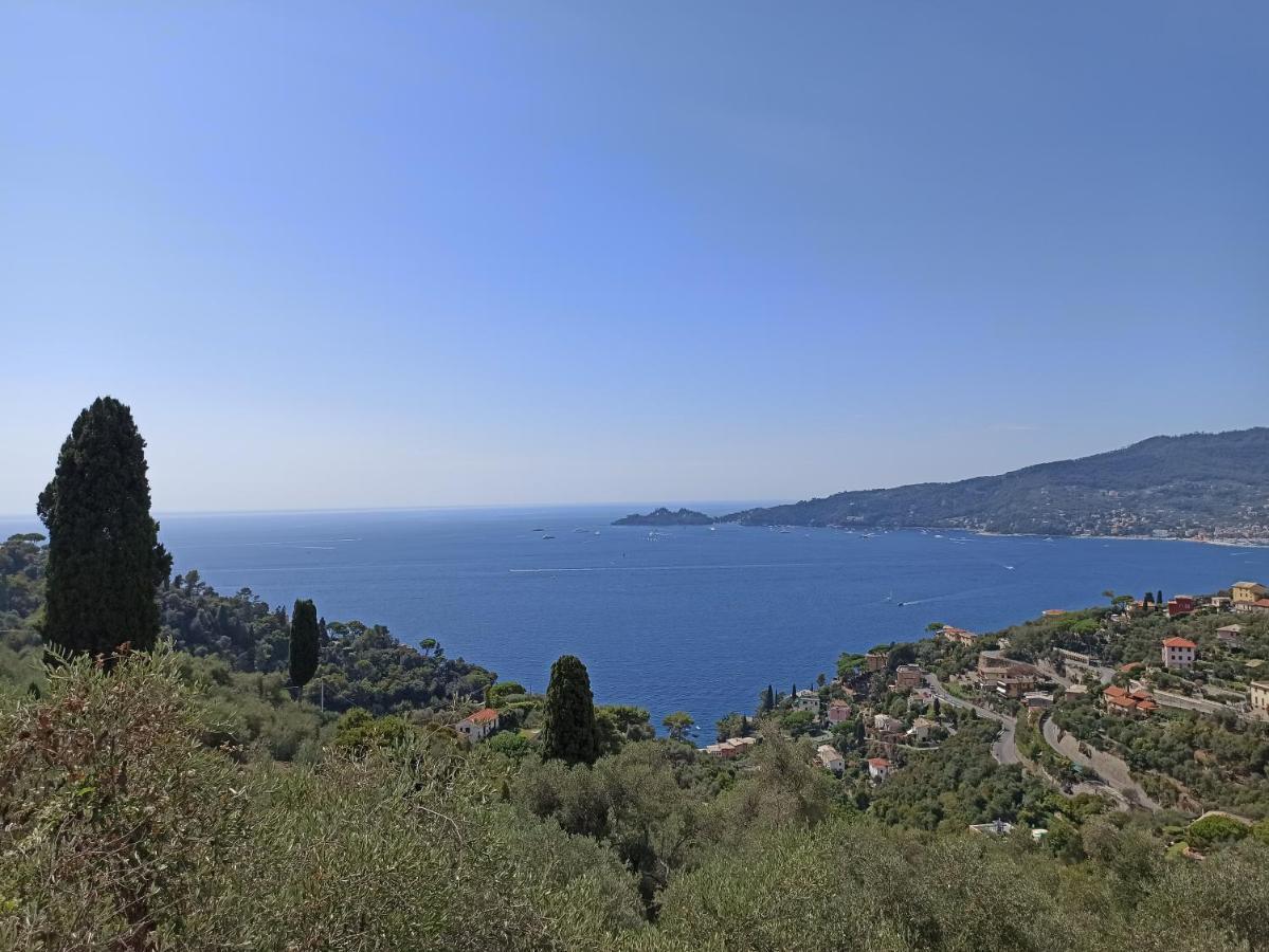 Il Glicine Cozy Appartamnent, Near Sestri Levante Between Cinque Terre E Portofino Casarza Ligure Εξωτερικό φωτογραφία