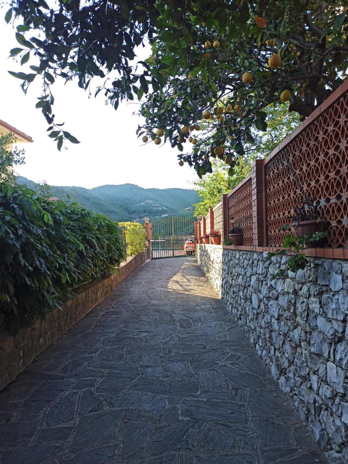 Il Glicine Cozy Appartamnent, Near Sestri Levante Between Cinque Terre E Portofino Casarza Ligure Εξωτερικό φωτογραφία